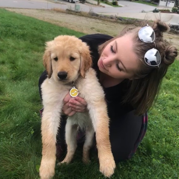 Meet your Posher, Riley - Picture 2 of 2